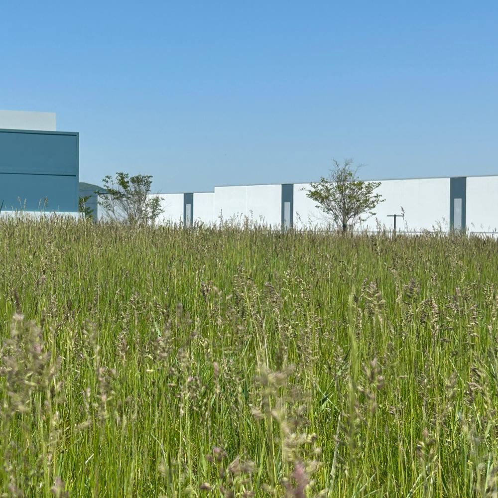 ICE warehouse developer to pay $82K to resolve deficiencies
