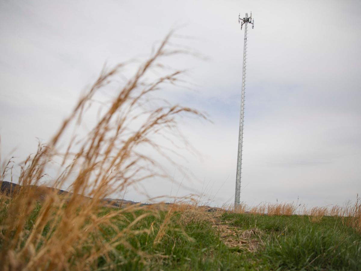Trump admin tells Pa., other states to shift broadband focus to cheaper options like Elon Musk's Starlink