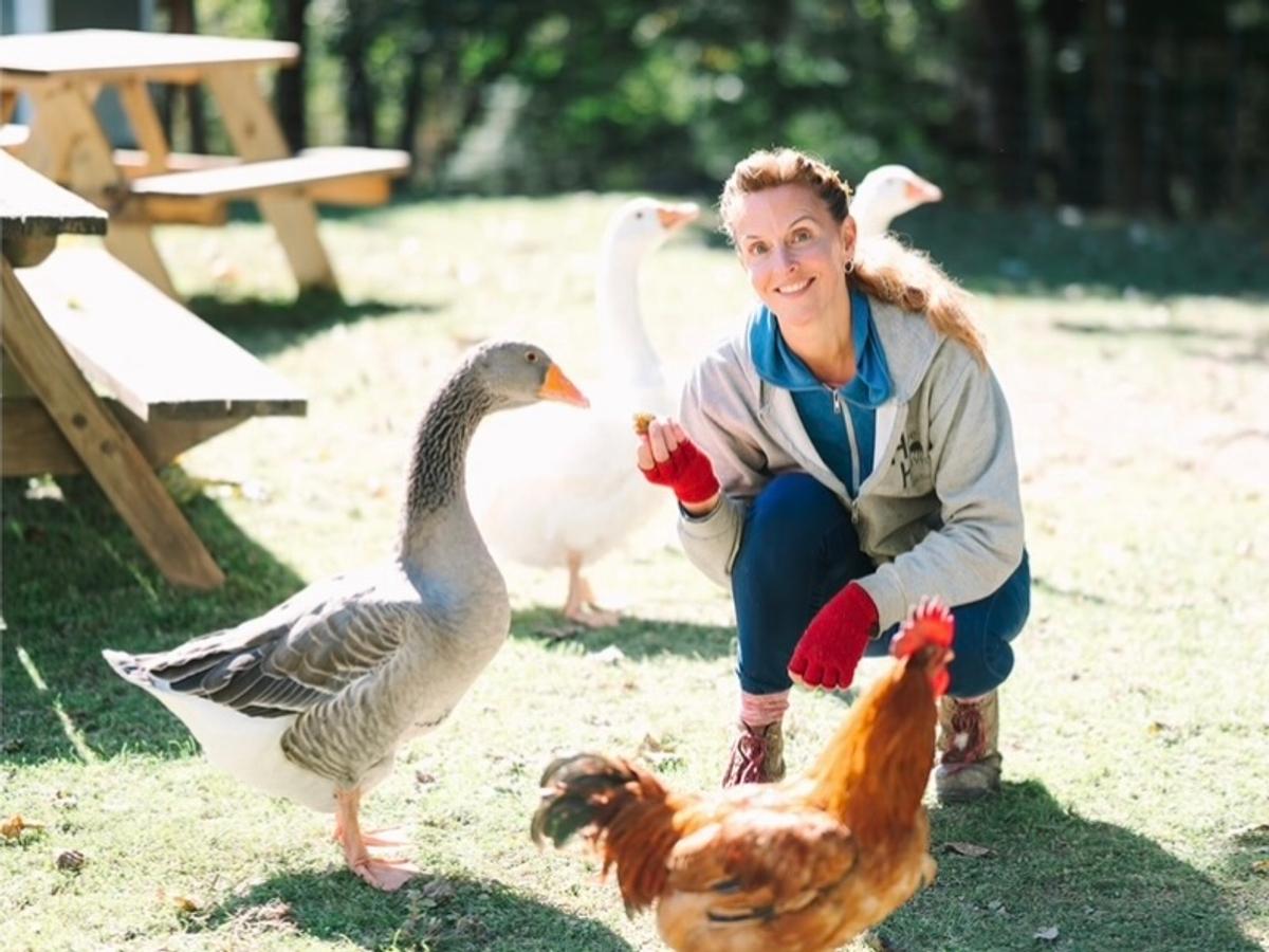 PA Local Heroes: Where farm animals go to thrive • Spotlight PA