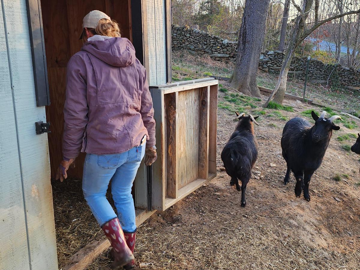 PA Local Heroes: The farm owner who turned her property into a haven for military vets, families