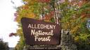 An Allegheny National Forest sign in McKean County.
