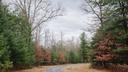 A wooded area in Centre County