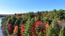 Green, red, and orange trees viewed from afar.