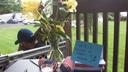 Flowers and a small American flag on a table at a vigil in Muhlenberg Township, where supporters were invited to write messages to Erasmo Zavala. He is being held at Moshannon Valley Processing Center.