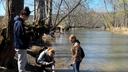 Volunteers with the Live Stake Collaborative plant stakes on the banks of Standing Stone Creek in Huntingdon County, PA.