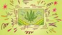 A stylized illustration of a marijuana leaf