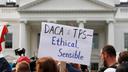 A person holds up a sign in support of the Deferred Action for Childhood Arrivals, known as DACA, and Temporary Protected Status programs during a rally at the White House, Sept. 5, 2017.