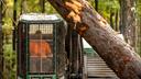 Bert Sarginger operates a machine that can cut and load logs onto a truck bed on a logging site in the Allegheny National Forest.