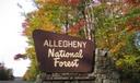 An Allegheny National Forest sign in McKean County.