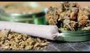 Video: Cannabis Lobby Spends Big in PA to Influence Legalization Debate