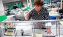 Voter registration worker Sharon Schoemaker sorts mail ballots at Lehigh County Government Center in Allentown, PA.