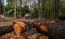 Dan Albaugh, a third-generation logger, drives away from a logging site in the Allegheny National Forest near Howe Township.