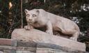 The Nittany Lion statute on Penn State's University Park campus in State College, Pennsylvania.