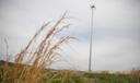 A cell phone tower in a rural Pennsylvania area.