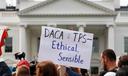 A person holds up a sign in support of the Deferred Action for Childhood Arrivals, known as DACA, and Temporary Protected Status programs during a rally at the White House, Sept. 5, 2017.