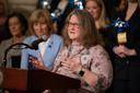 Cathleen Palm, founder of the Center for Children’s Justice, speaks in Harrisburg.