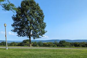 The view from Reservoir Park in Harrisburg, Pennsylvania.