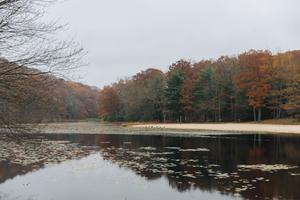 The lake at Black Moshannon State Park