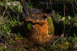 An abandoned well is seen on the property of Cheryl and Joe Thomas in Duke Center, Pennsylvania.