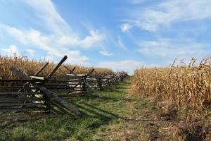 A zigzag rail fence at Gettysburg National Military Park in Pennsylvania.