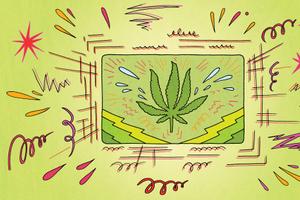 An illustration of a marijuana leaf.