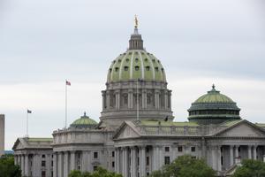 The legislature is better prepared than many state agencies to maintain public access, one expert said, as it has existing technology to support live-streaming.