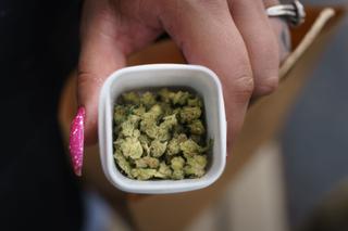 New York and New Jersey allow adults 21 and over to use marijuana. In the fall, Maryland voters approved adult-use legalization with a ballot question and now lawmakers are rolling out planned changes.
