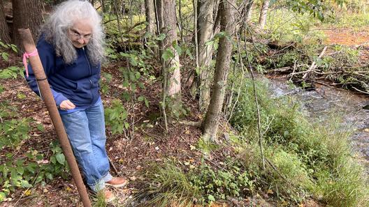Bradford resident and retiree Barbara Laxon stands next to an abandoned, uncapped oil well.