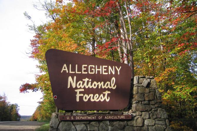 An Allegheny National Forest sign in McKean County.