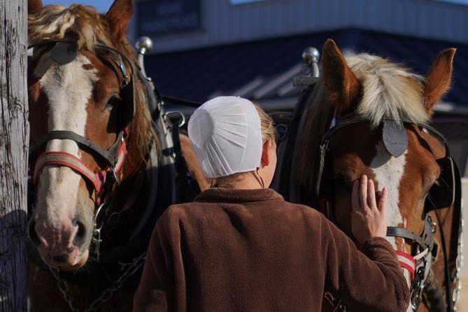 A member of the Plain community tends to horses at The Green Dragon Farmers Market and Auction in Ephrata, PA. A member of the Plain community tends to horses at The Green Dragon Farmers Market and Auction in Ephrata, PA.