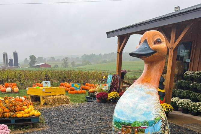 A goose statue stands near a pumpkin display.