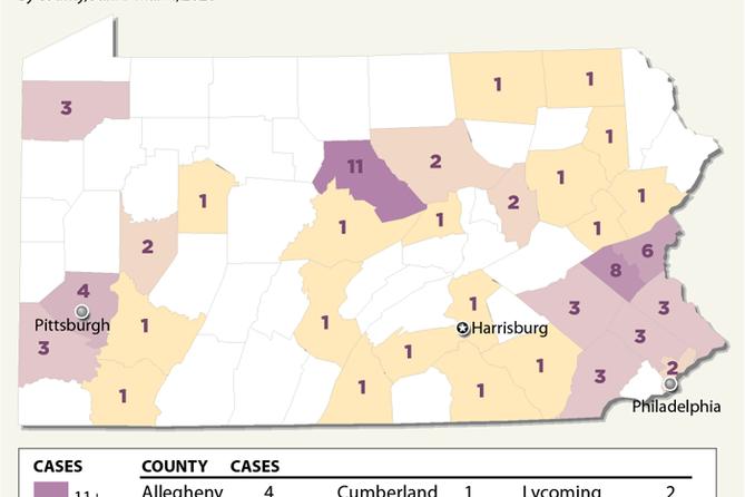 Avian flu confirmed cases in wild birds in Pennsylvania