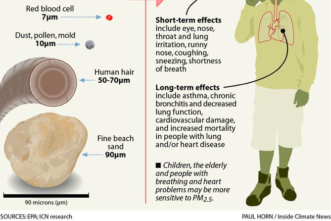 Infographic explaining various health effects of particulate matter