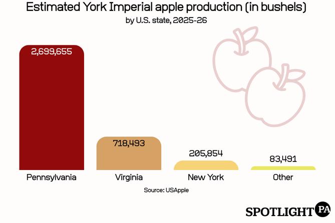 Bar chart of York apple production Bar chart of York apple production