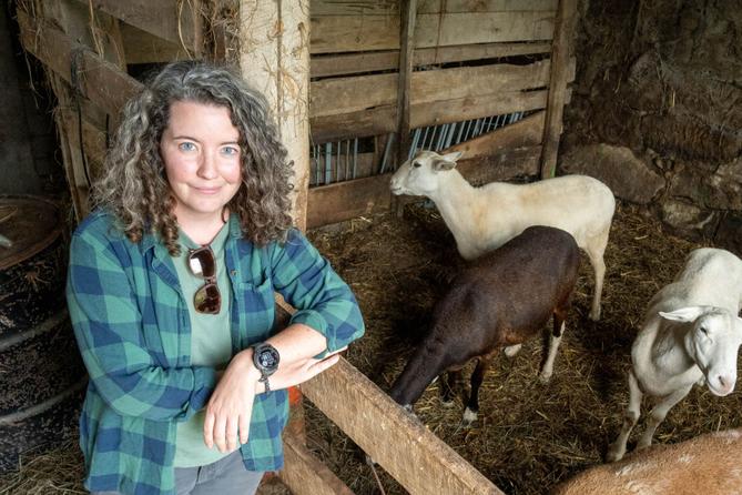 A woman stands next to an enclosure with sheep A woman stands next to an enclosure with sheep