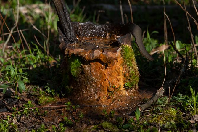 An abandoned well is seen on the property of Cheryl and Joe Thomas in Duke Center, Pa., on April 25, 2023.