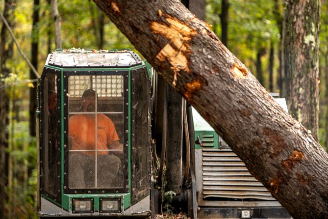 Bert Sarginger operates a machine that can cut and load logs onto a truck bed on a logging site in the Allegheny National Forest.